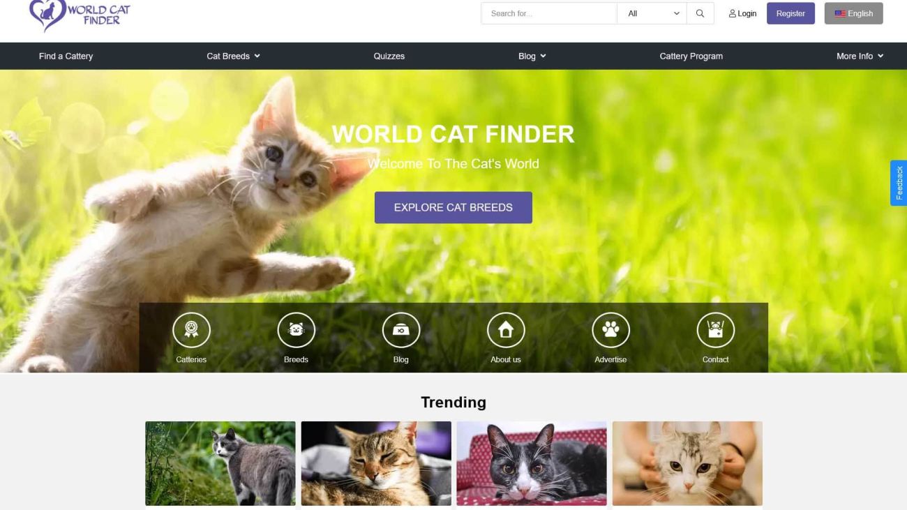 World Cat Finder