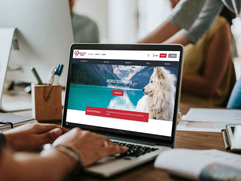 World Dog Finder